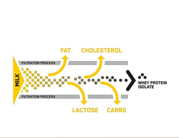 whey protein isolate benefits